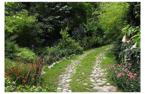 Shyamkhet Resort | Discover the Finest Retreat in the Himalayas Today!