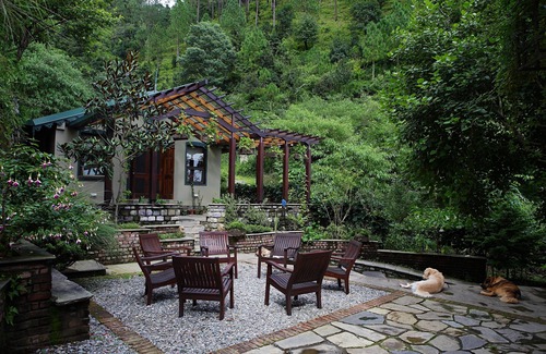 Shyamkhet Resort | Discover the Finest Retreat in the Himalayas Today!