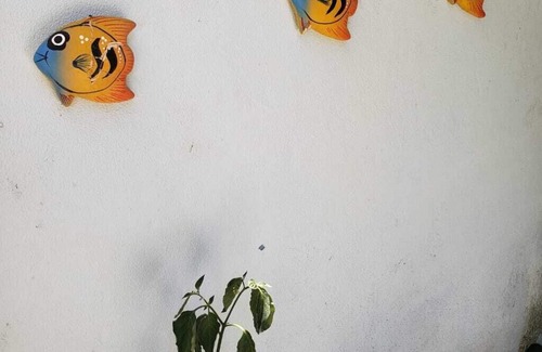 Santa Cruz do Escalvado House | Explore Nature's Wonders at Our Inviting City Hotel