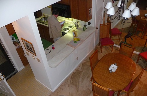 Sapphire House | Experience the Tree Frog: Pet-Friendly & Amenities Galore