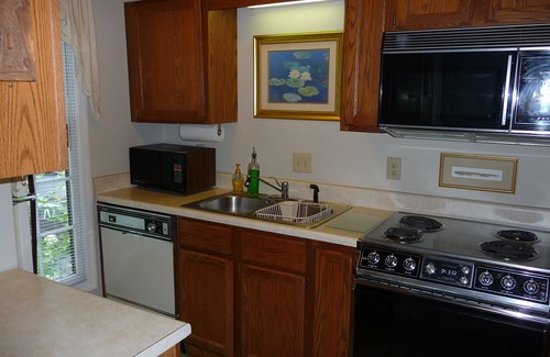 Sapphire House | Experience the Tree Frog: Pet-Friendly & Amenities Galore