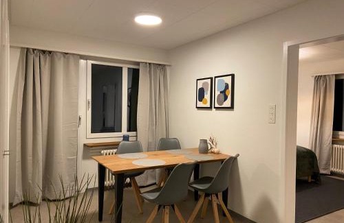 Seebach Apartment | Convenient 1 and 2BDR Apartment Near Zurich Airport
