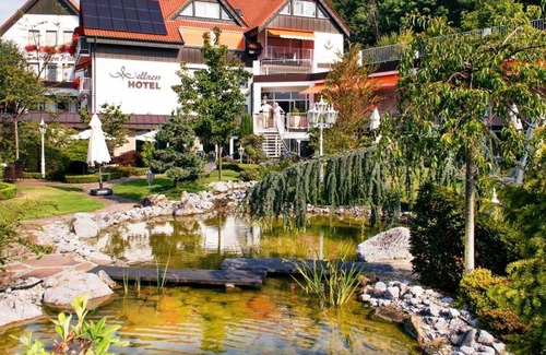 Brochterbeck House | Comfort double room for single use - Teutoburg Forest Hotel GmbH