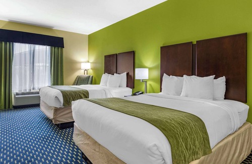 Athens Hotel | Guest Rated Comfort Inn Athens: Pool, Spa & Family-Friendly