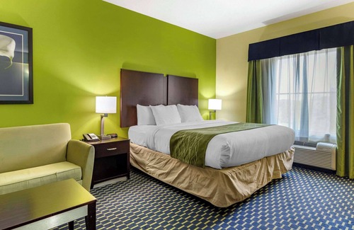 Athens Hotel | Guest Rated Comfort Inn Athens: Pool, Spa & Family-Friendly