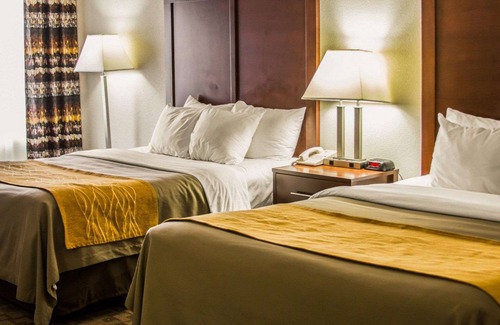 Birch Run Hotel | Cozy Comfort Inn Birch Run - Family-Friendly with Pool & Spa