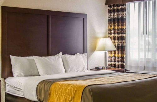 Birch Run Hotel | Cozy Comfort Inn Birch Run - Family-Friendly with Pool & Spa