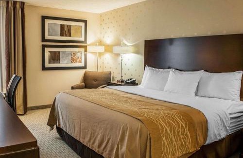 Bloomington Hotel | Convenient Comfort Inn Bloomington - Near the University