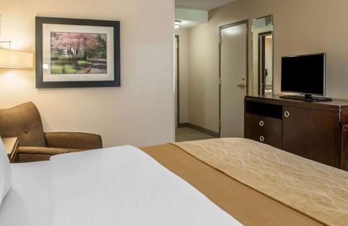 Bloomington Hotel | Convenient Comfort Inn Bloomington - Near the University