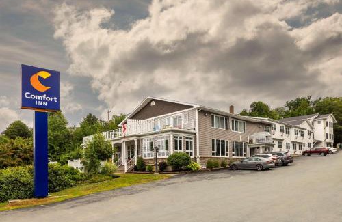 Halifax Hotel | Comfort Inn: Pet-Friendly Stay with Pool Access & Breakfast