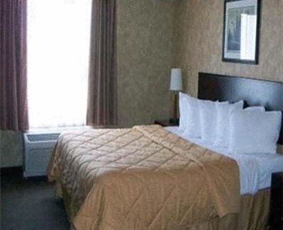 Sturgeon Falls Hotel | Guest Rated Comfort Inn with Oceanfront Views & Pool