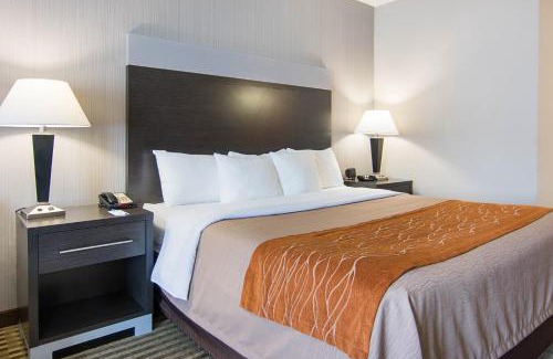 Camden Hotel | Inviting Comfort Inn Camden with Pool and Family Amenities