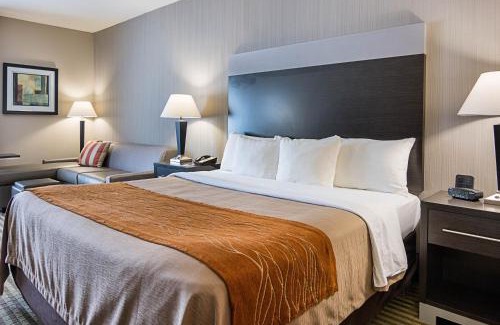 Camden Hotel | Inviting Comfort Inn Camden with Pool and Family Amenities