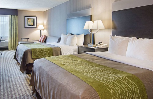 Camden Hotel | Relax at Comfort Inn Camden with Pool and Spa Amenities