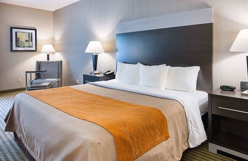 Camden Hotel | Relax at Comfort Inn Camden with Pool and Spa Amenities