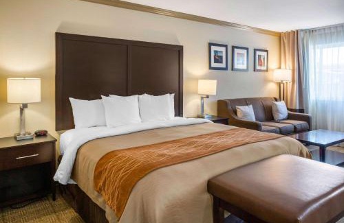 Castro Valley Hotel | Cozy Comfort Inn Castro Valley: Poolside & Ocean Views