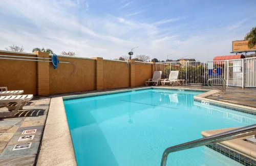 Castro Valley Hotel | Cozy Comfort Inn Castro Valley: Poolside & Ocean Views