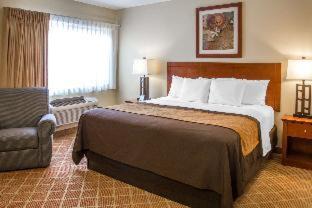Hawthorne Hotel | Enjoy Comfort Inn Cockatoo: Near LAX with Ocean Views