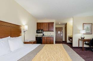 Colby Hotel | Pet-Friendly Comfort Inn: Family Fun with Pool Access