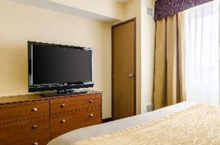 Colby Hotel | Pet-Friendly Comfort Inn: Family Fun with Pool Access
