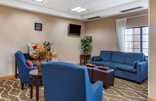 Central Business District Hotel | Explore Comfort Inn Downtown - University Area with Breakfast