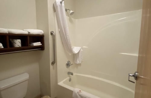 Central Business District Hotel | Explore Comfort Inn Downtown - University Area with Breakfast