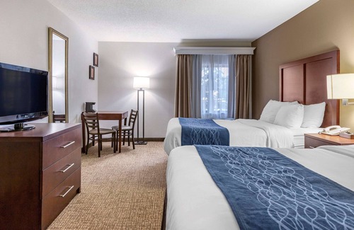 Central Business District Hotel | Explore Comfort Inn Downtown - University Area with Breakfast