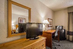 Fond du Lac Hotel | Welcoming Comfort Inn: Oceanfront, Pet-Friendly Escape