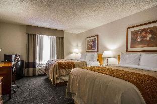 Fond du Lac Hotel | Welcoming Comfort Inn: Oceanfront, Pet-Friendly Escape
