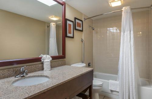 East Paris Hotel | Pet-Friendly Comfort Inn Near Grand Rapids Airport