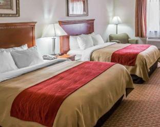 Eagle Creek Hotel | Pet-Friendly Comfort Inn Hebron with Family Amenities