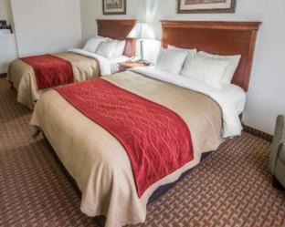 Eagle Creek Hotel | Pet-Friendly Comfort Inn Hebron with Family Amenities