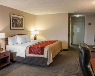 Indianapolis Hotel | Comfort Inn Indianapolis South: Pet-Friendly & Poolside Stay