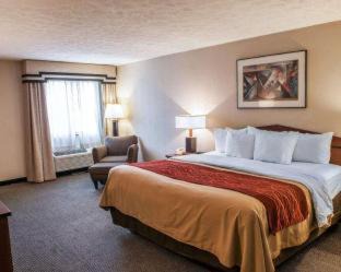 Indianapolis Hotel | Comfort Inn Indianapolis South: Pet-Friendly & Poolside Stay