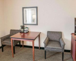 Indianapolis Hotel | Comfort Inn Indianapolis South: Pet-Friendly & Poolside Stay