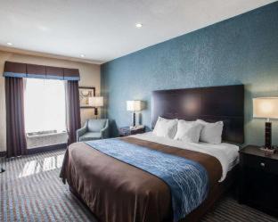Lee's Summit Hotel | Comfort Inn Lees Summit: Family-Friendly with Pool Access