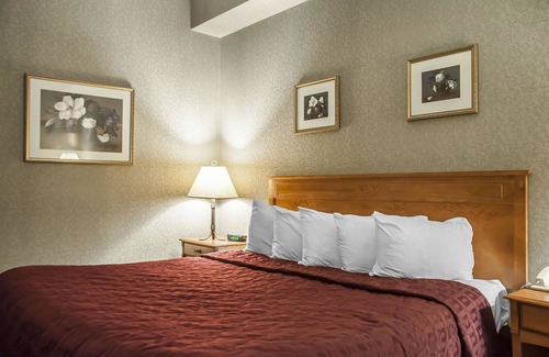 Niagara Falls Hotel | Comfort Inn Lundys Lane: Family-Friendly with Pool & Spa