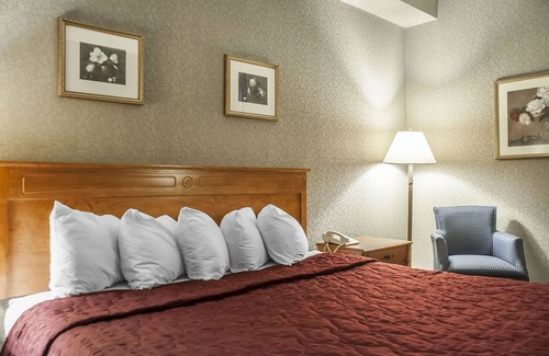 Niagara Falls Hotel | Comfort Inn Lundys Lane: Family-Friendly with Pool & Spa
