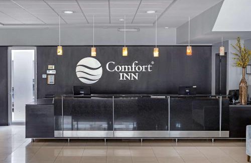Morelia Hotel | Welcoming Comfort Inn Morelia: Family-Friendly Amenities