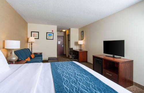 Naugatuck Hotel | Pet-Friendly Comfort Inn Naugatuck-Shelton, CT Awaits You