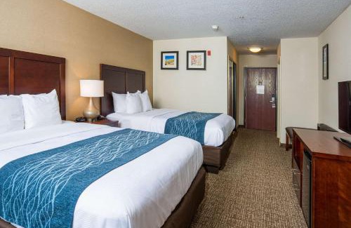 Naugatuck Hotel | Pet-Friendly Comfort Inn Naugatuck-Shelton, CT Awaits You