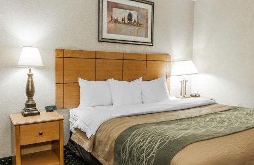 Kokomo Hotel | Convenient Comfort Inn Near Kokomo Speedway with Pool