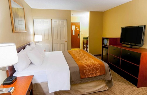 New Holland Hotel | Inviting Comfort Inn Amish Country with Eco-Friendly Amenities