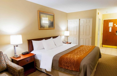 New Holland Hotel | Inviting Comfort Inn Amish Country with Eco-Friendly Amenities