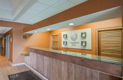 Lindbergh Lawns Hotel | Cozy Comfort Inn near NYS Fairgrounds with Family Amenities