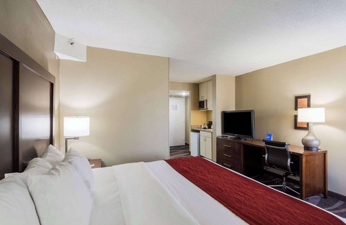 Northeast Pensacola Hotel | Experience Comfort Inn Pensacola - Ideal for Families & Relaxation