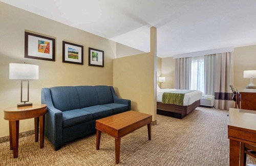 Plover Hotel | Comfort Inn Plover-Stevens Point: Eco-Friendly Stay with Pool