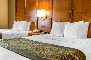 Romeoville Hotel | Comfort Inn Romeoville: Family-Friendly Amenities Await