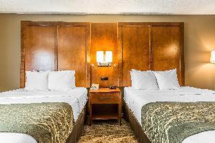 Romeoville Hotel | Comfort Inn Romeoville: Family-Friendly Amenities Await