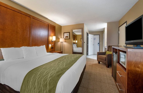 Romeoville Hotel | Eco-Friendly Comfort Inn Romeoville with Pool and Spa